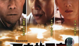 历史的天空电视剧,烽火岁月里的英雄传奇