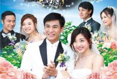 相亲电视剧,揭秘现代都市恋爱的甜蜜与苦涩
