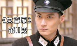 电视剧女管家分集剧情,宫廷风云下的忠诚与逆袭