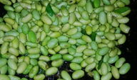 麻豆粒,揭秘新型健康食品的神奇魅力