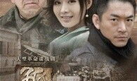 孤雁电视剧,逆境中的坚韧与成长