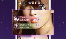 直播中说的91软件,直播揭秘，功能全面、操作便捷的软件利器
