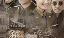 孤雁电视剧,逆境中的坚韧与成长