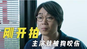 娱乐吃瓜君成果